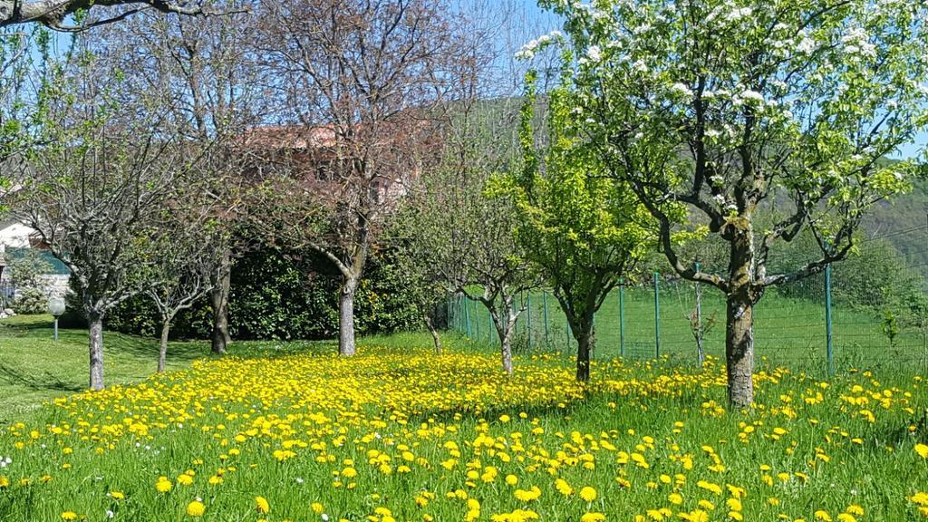 Villa San Giorgio Pellio Superiore Exteriér fotografie